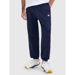 Spodnie dresowe joggery męskie 4F 4FRAW25TTROM1611-31S Spodnie dresowe joggery męskie 4F 4FRAW25TTROM1611-31S
