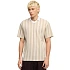 Koszulka męska Puma Class Relaxed Pinnacle Polo beżowa 692069 87 pánské
