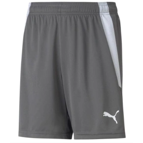 Spodenki Puma teamLIGA Shorts Jr 704931 13