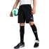 Spodenki męskie Puma Team Goal czarne 705752 03