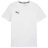 Koszulka Puma Team Goal Casuals Tee M 658615 04 pánské