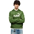 Bluza męska Puma ESS No.1 Logo Hoodie FL zielona 682571 68 pánské