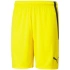 Spodenki Puma teamLIGA M 704924 07