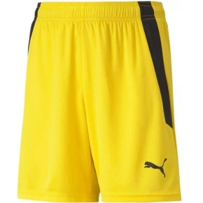 Spodenki Puma teamLIGA Shorts Jr 704931 07