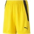 Spodenki Puma teamLIGA Shorts Jr 704931 07