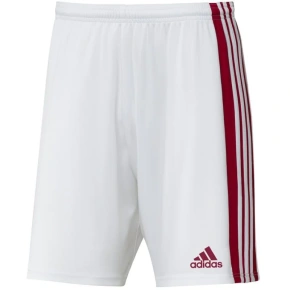 Męskie spodenki Squadra 21 Short M GN5770 - Adidas