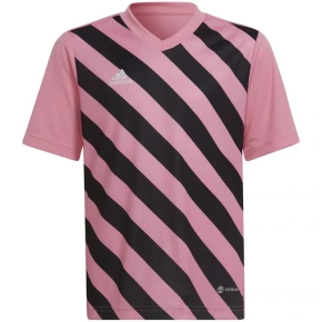 Entrada 22 Graphic Jersey Jr HC2632 - Adidas