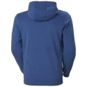 Bluza męska Box Hoodie M 53289 636 - Helly Hansen