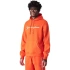 Bluza Champion Hooded M 220253 OS014 pánské
