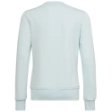 Bluza dziecięca Big Logo Swt Jr HM8707 - Adidas