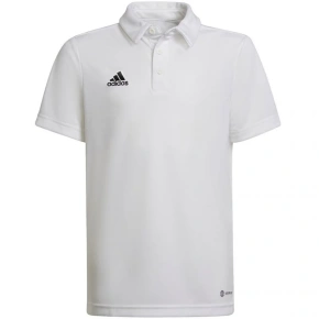 Koszulka dziecięca Entrada 22 Polo Jr HC5059 - Adidas