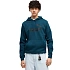 Bluza męska Puma ESS No.1 Logo Hoodie FL turkusowa 682571 36 pánské