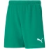 Spodenki dziecięce team RISEShort Jr 704943 05 - Puma