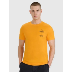 T-shirt regular z nadrukiem męski 4F 4FRSS25TTSHM2688-70S T-shirt regular z nadrukiem męski 4F 4FRSS25TTSHM2688-70S