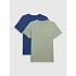 T-shirt męski (ZESTAW KOSZULEK 2 SZT.) 4F 4FRMM00TTSHM2705-91S