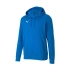 Męskie buty TeamGoal 23 Casuals M 656580-02 - Puma