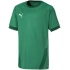 Koszulka Puma teamGOAL 23 Jersey Jr 704160 05