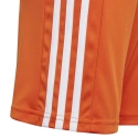 Spodenki młodzieżowe Squadra 21 GN8082 - Adidas