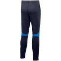 Kids Academy Pro Youth Jr DH9325 451 - Nike