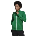 Damskie buty Entrada 22 Track W HI2136 - Adidas