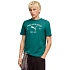 Koszulka męska Puma Class Graphic Tee zielona 692226 41 pánské