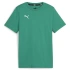 Koszulka Puma Team Goal Casuals Tee Jr 658616 05
