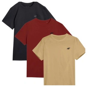 Koszulki 4F M 4FWSS25TTSHM3965-92S pánské