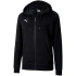 Męska koszulka TeamGoal 23 Causals Hooded Jacked M 656708 03 - Puma