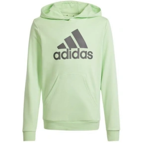 Bluza adidas Big Logo Hoodie Jr IS2591