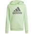 Bluza adidas Big Logo Hoodie Jr IS2591