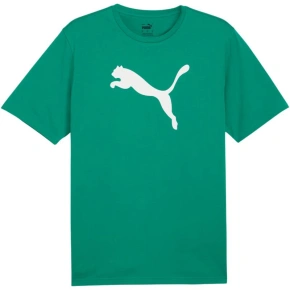 Koszulka Puma Team Rise Logo Jersey Cotton M 658705 05 pánské