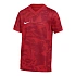 Koszulka Nike Dri-Fit Precision VII FZ9332-100