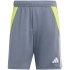 Spodenki adidas Tiro 24 Training M IV6940