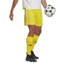 Męskie spodenki Squadra 21 Short M GN5772 - Adidas