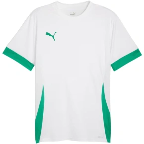 Koszulka męska Puma teamGoal Matchday Jersey biało-zielona 705747 15 pánské