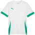 Koszulka męska Puma teamGoal Matchday Jersey biało-zielona 705747 15 pánské