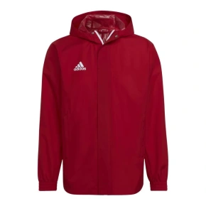 Męska kurtka na każdą pogodę Entrada 22 M HG6299 - Adidas