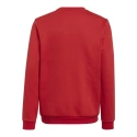 Dziecięca bluza Entrada 22 Sweat Jr H57473 - Adidas