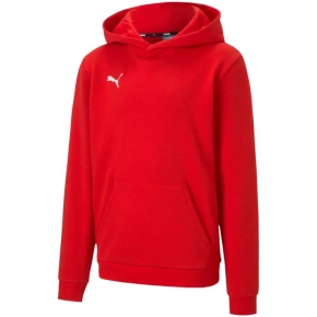 Bluza dziecięca teamGOAL 23 Casuals Jr 656711 01 - Puma