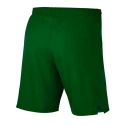 Męskie spodenki Laser Woven IV Short M AJ1245-302 - Nike