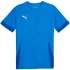 Koszulka Puma teamGoal Matchday Jersey M 705747 02 pánské