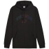 Bluza Puma Ess+ Logo LAB Gradient Hoodie FL M 681775 01 pánské