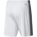 Męskie spodenki Squadra 21 Short M GN5773 - Adidas
