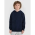 Bluza dresowa nierozpinana z kapturem chłopięca 4F 4FJRMM00TSWSM2482-31S
