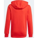 Kids Essentials Big Logo Hoodie Jr GN4037 - Adidas