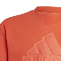 Koszulka dziecięca FI Logo Jr HR6296 - Adidas