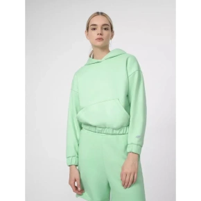 Bluza damska W 4FSS23TSWSF255-42S - 4F