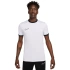Koszulka Nike Academy 25 SS Top M FZ9754 100 pánské