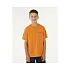 Koszulka chłopięca RIP CURL Eternal Shred Art Tee-Boy pomarańczowa dětské