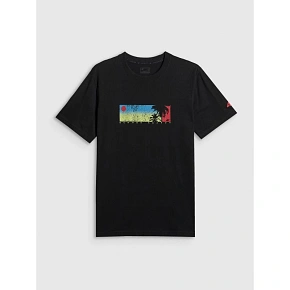 T-shirt regular z nadrukiem męski 4F 4FWSS26TTSHM3335-20S